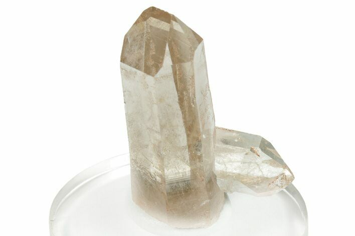 Glassy Rutilated Quartz Crystal - Brazil #255453